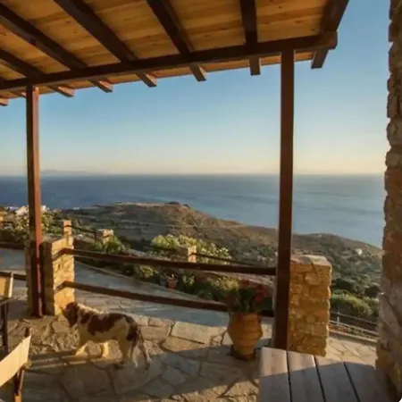 Artemi Villa Andros Town Exterior photo